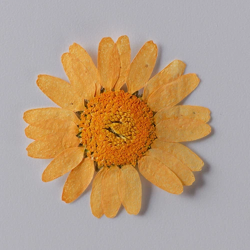 Dried Pressed Flowers Natural Epoxy Resin Candle Nail Art Scrapbooking Craft AU - Picture 72 of 210