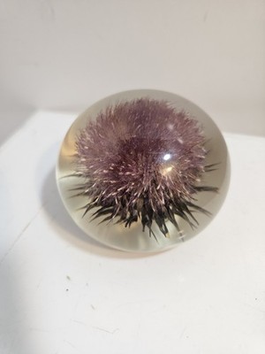 Tarax Infinity Products Domed Thistle Paperweight 3  Handcrafted in Canada