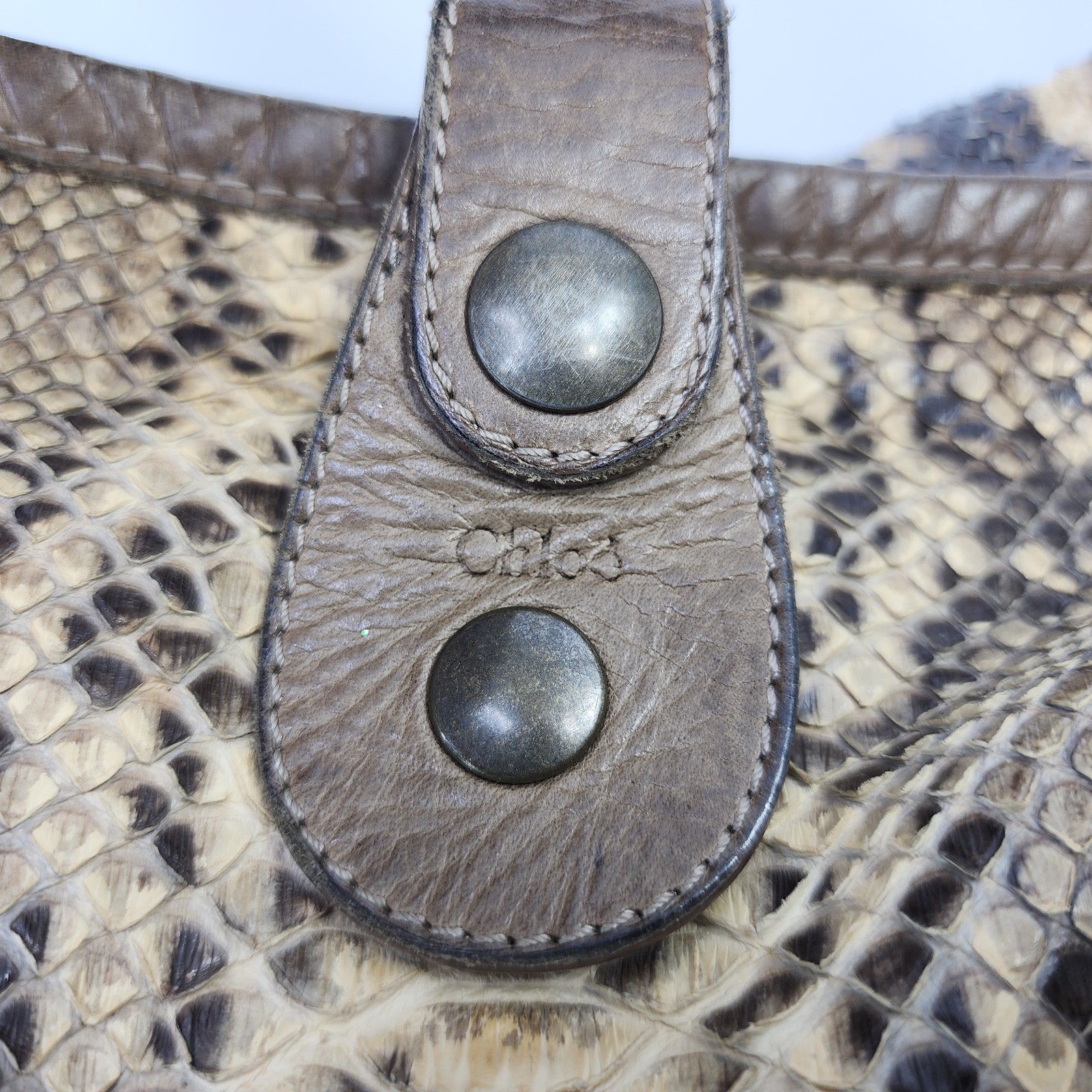 Chloe Python Snakeskin Leather Silverado Shoulder… - image 2