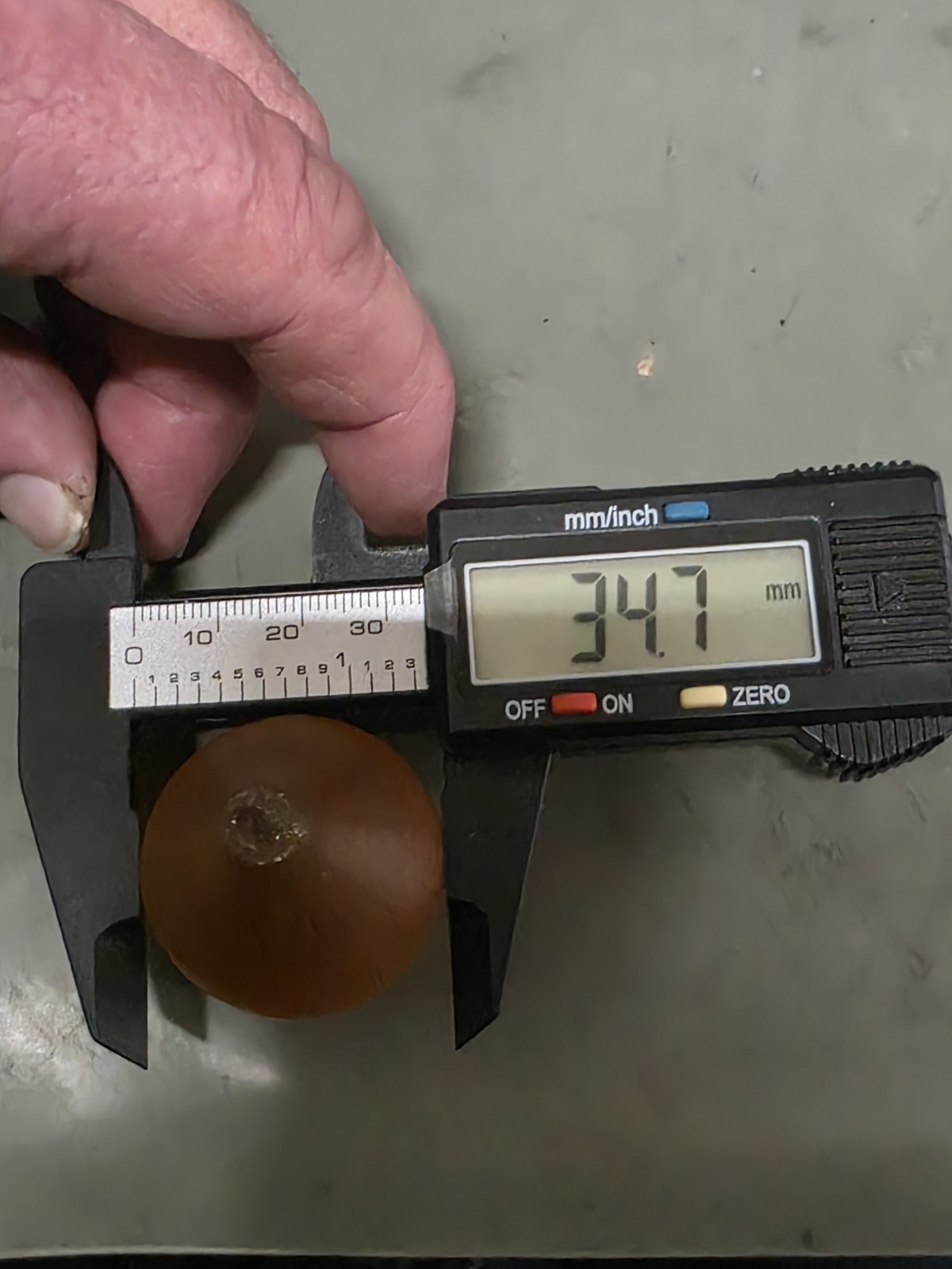 Lab Made Czochrlski Pulled Yellow Yttrium Aluminum Garnet  146+ Gram Facet Rough