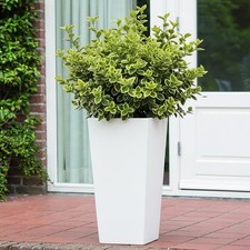IDEALIST Small 50.5cm Tall Planter for Garden | White Reinforced Stone Tapered