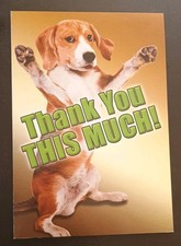 Funny Thank You Card