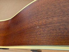 2019 Eastman E1 SS LTD Edition Electro Acoustic Guitar Solid Woods