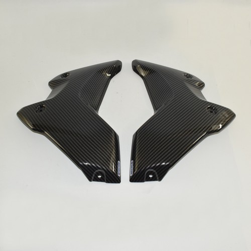 Carbonio radiatore copertura laterale sindone pannello per BMW R1250GS 2018-2024 - Picture 5 of 12