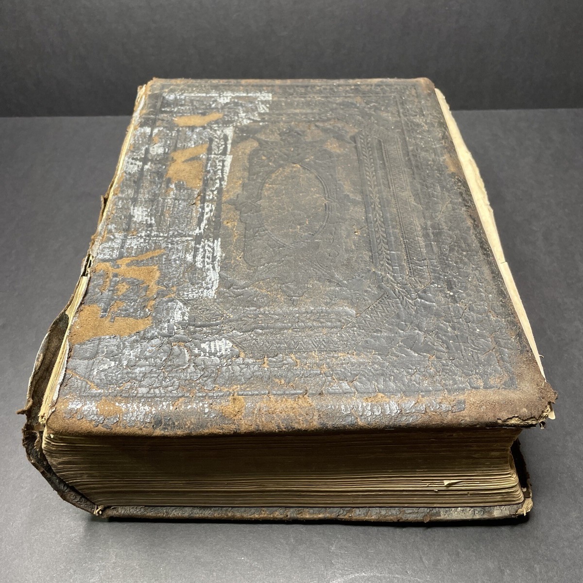 Antique 1850s William John Cooke Of Guelph Ontario Family Holy