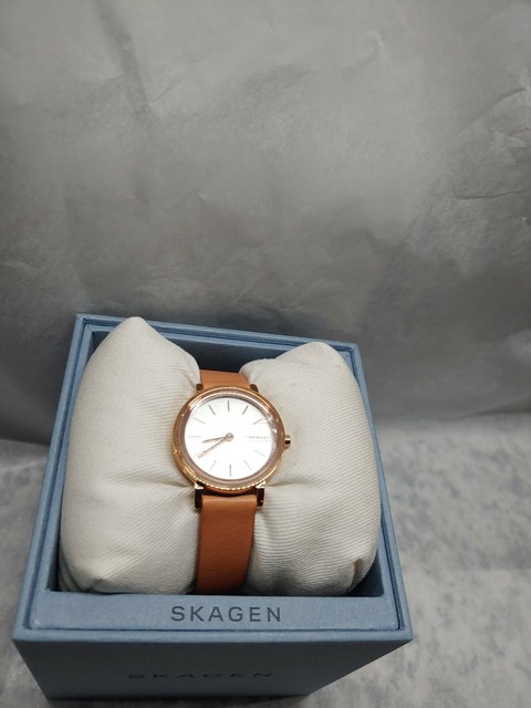 skagen hald watch