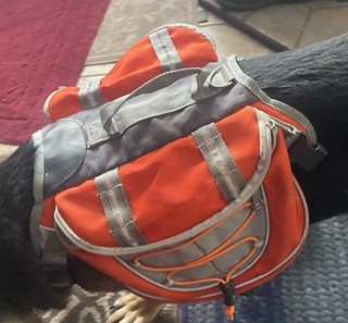 Large Dog Harness with handle and Saddle Bags Adjustable Bought And Never Used