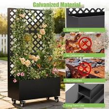 Metal Raised Garden Bed with Trellis and Wheels Planter Box for Climbing Plants