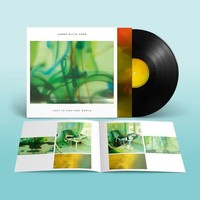 Lost In Another World | James Ellis Ford | Schallplatte | Vinyl / Schallplatte