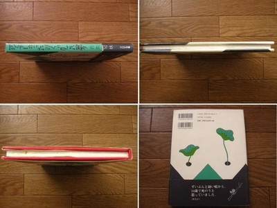 Nishioka Kyoudai Novel Picture Book: Shinde Simatta Boku no Mita Yume Very Good