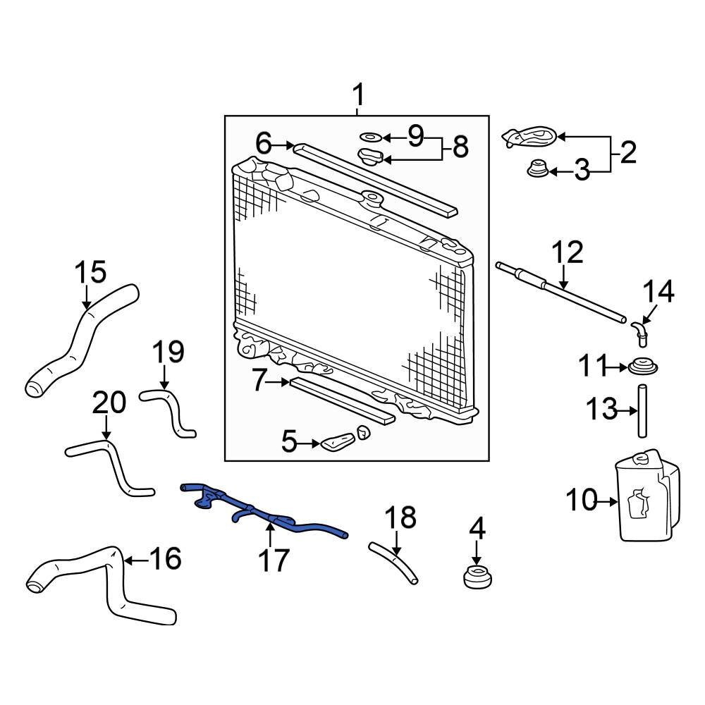 For Honda Odyssey 19992004 Honda 25210P8F010 Engine Coolant Pipe eBay