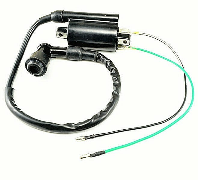 Ignition Coil For Yamaha Virago Xv250 V-star Route 66 Li Jjb | Meses Sin Interés - Foto 5