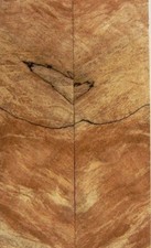 Maple Soft Spalted Extreme 2 pc Knife Scales 1/4" x 1 1/2" x 5" - 0718