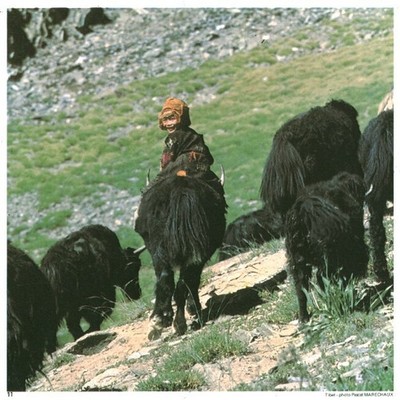 Alte Reklame Scheck Chic Lustucru der Zanskar Tibet