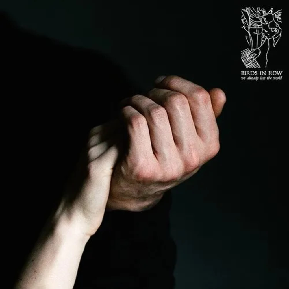 Птицы в ряд - Мы уже потеряли Мир, НОВЫЙ запечатанный винил