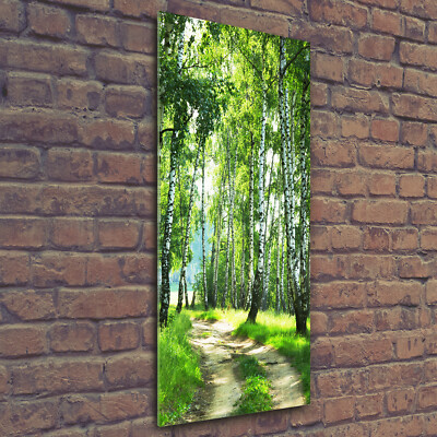 Wandbild Druck auf Plexiglas  Acryl Hochformat 50x125 Birkenwald