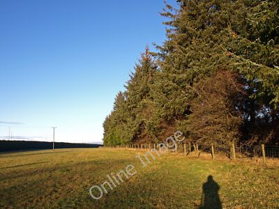 Photo 12x8 By Beith Bypass This line of trees was planted to try and deade c2010