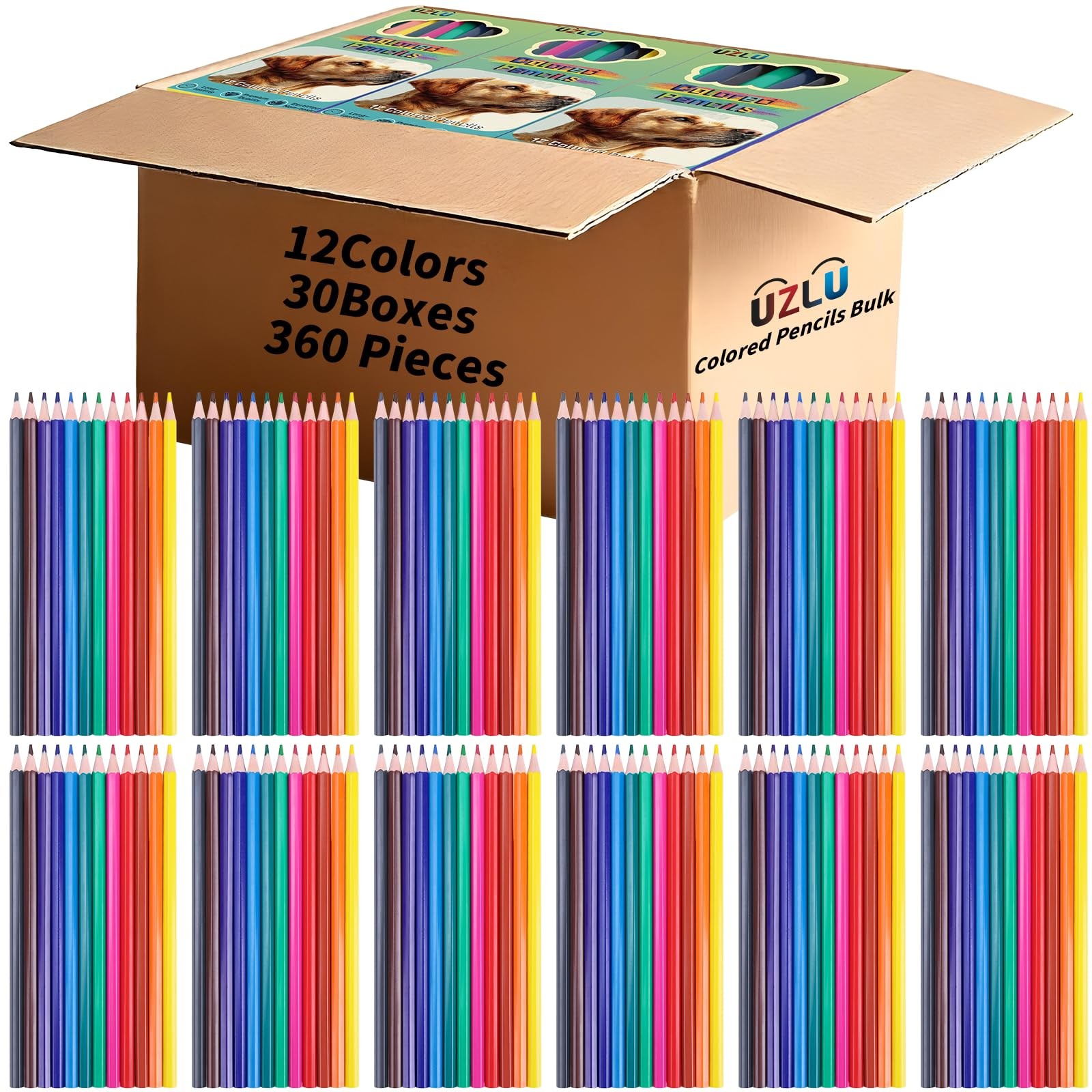 Bulk 12 Colors Pre Sharpened For Adults