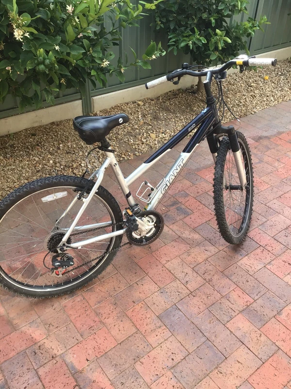 gumtree ladies mountain bike