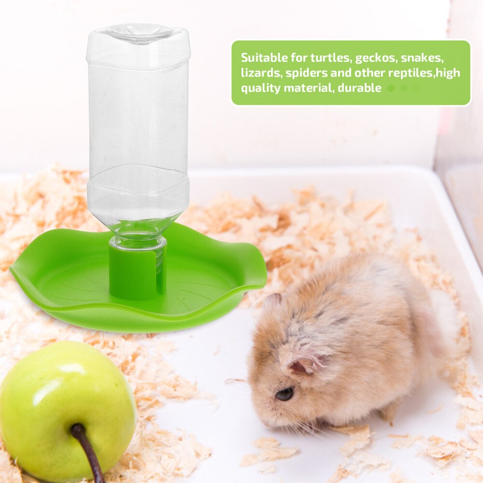 Pour Gecko Animal Water Dispenser for Pet Reptile and Food Plate eBay