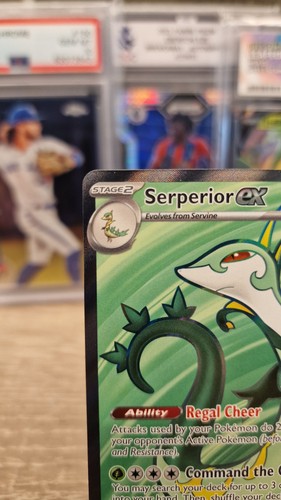 156/086 Serperior Ex - Pokémon Black Bolt Ultra Rare - Picture 2 of 7