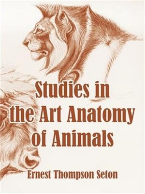 Studies in the Art Anatomy of Animals (Paperback or Softback)