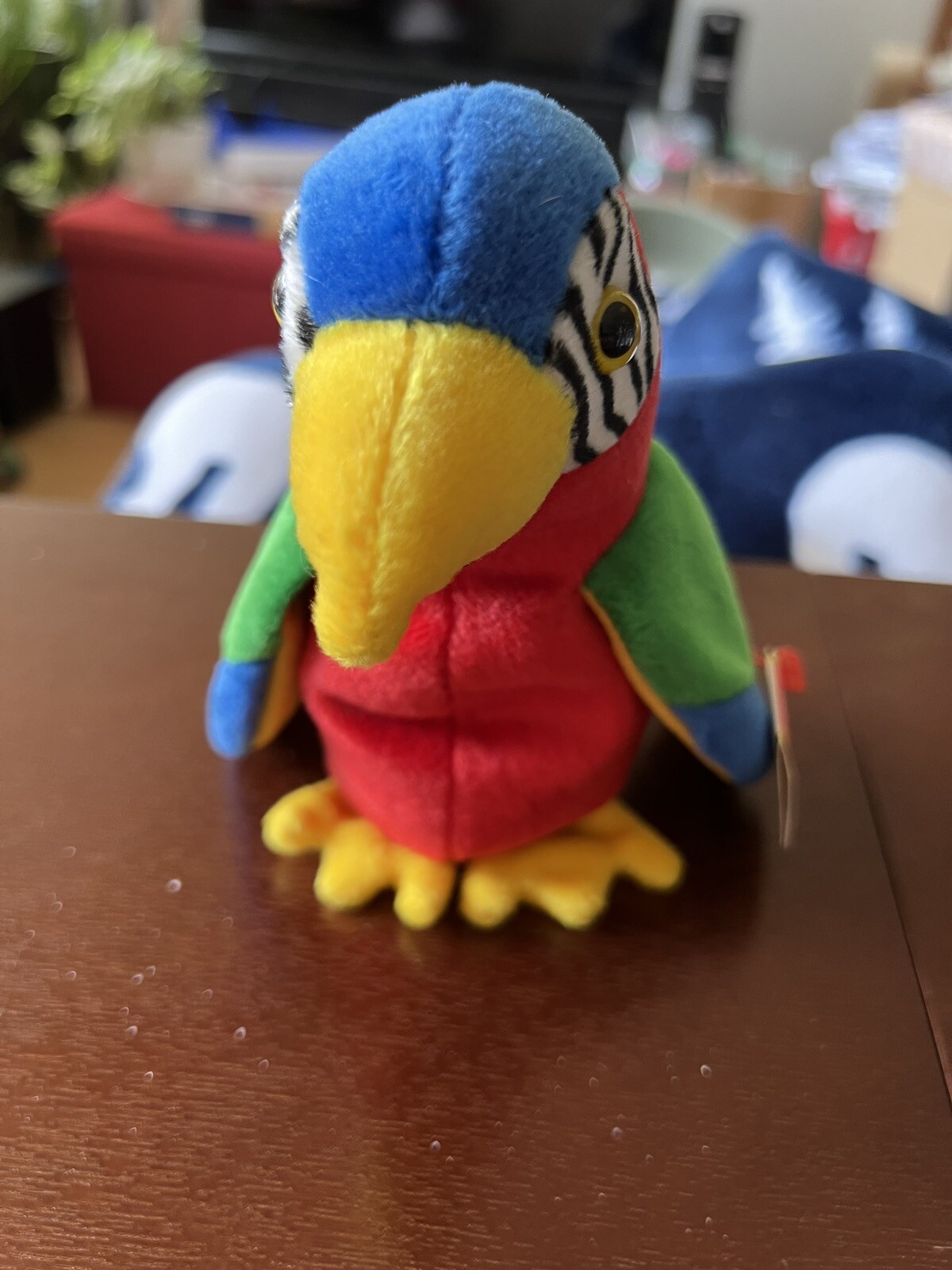 Foto 2 di 6