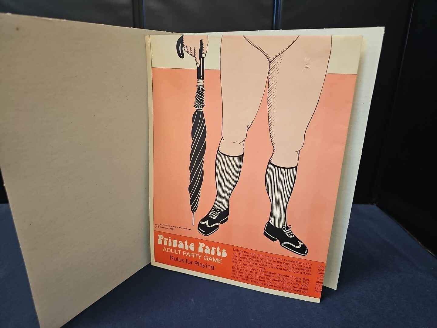 Private Parts Adult Party Game Where You "Pin The You-Know-What" 1981 