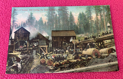 LUMBER MILL cutting up giant REDWOOD TREES saw TIMBER vintage POSTCARD antique