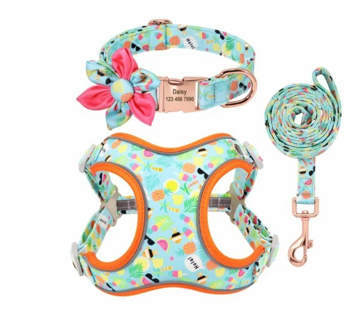 Dog Harness, Collar & Lead Summer Fun  Set