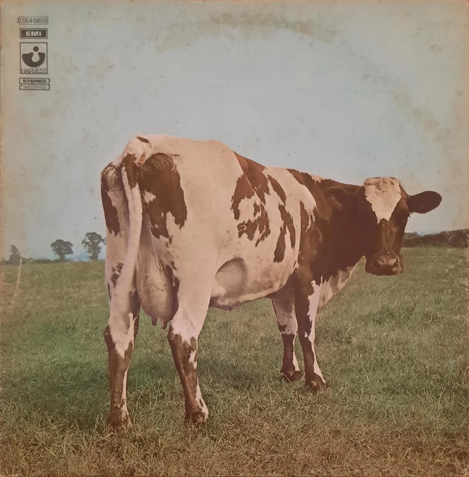 vinili 33 giri pink floyd come nuovi - Immagine 4 di 4