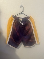 Men  s Mitchell And ness L A Lakers Shorts Large