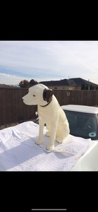 RCA Victor Nipper Dog-Very Large Antique Vintage (Pick UP ONLY)
