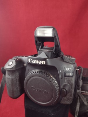 Canon 80D Camera with EF-S 18-135 IS USM Kit Lens and Shure