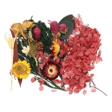 Natural Dried Flower Set, Dried Pressed Flowers Orange Purple 