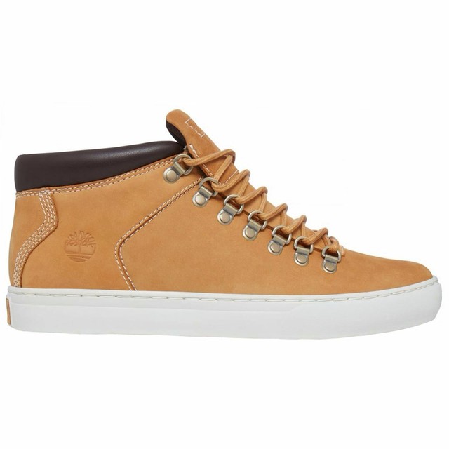 timberland alpine chukka