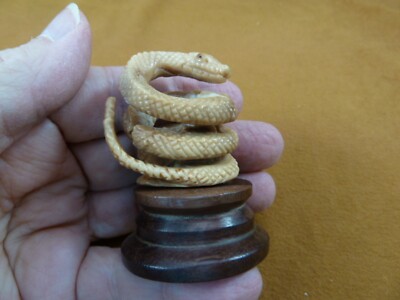 tb-snake-13 baby brown coiled standing Snake Tagua NUT palm figurine Bali snakes