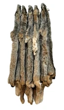 Lynx Pelt, VERY PLUSH & INCREDIBLY SOFT