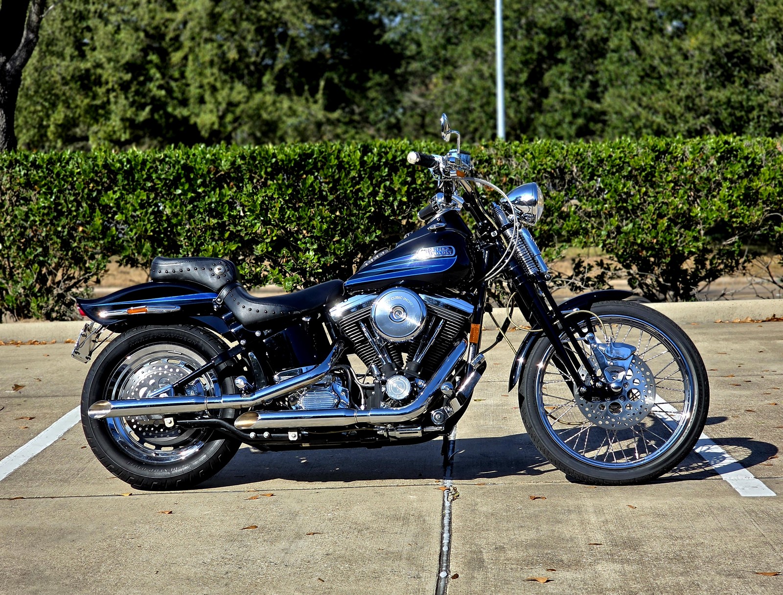 1995 Harley-Davidson Softail for sale in Houston Texas