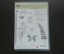 Stampin Up! Butterfly Basics Clear Stamps [Set of 11] Plant Birthday Crafts