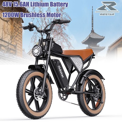 Ridstar Electric Bike 1200W 20'' 48V 15.6Ah DC Brushless High-Speed Motor E-Bike