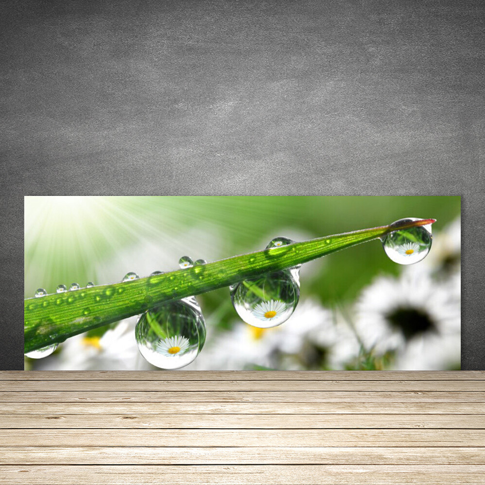 Crédence de cuisine en verre Nature Rosée 125x50 pour illuminer votre intérieur moderne