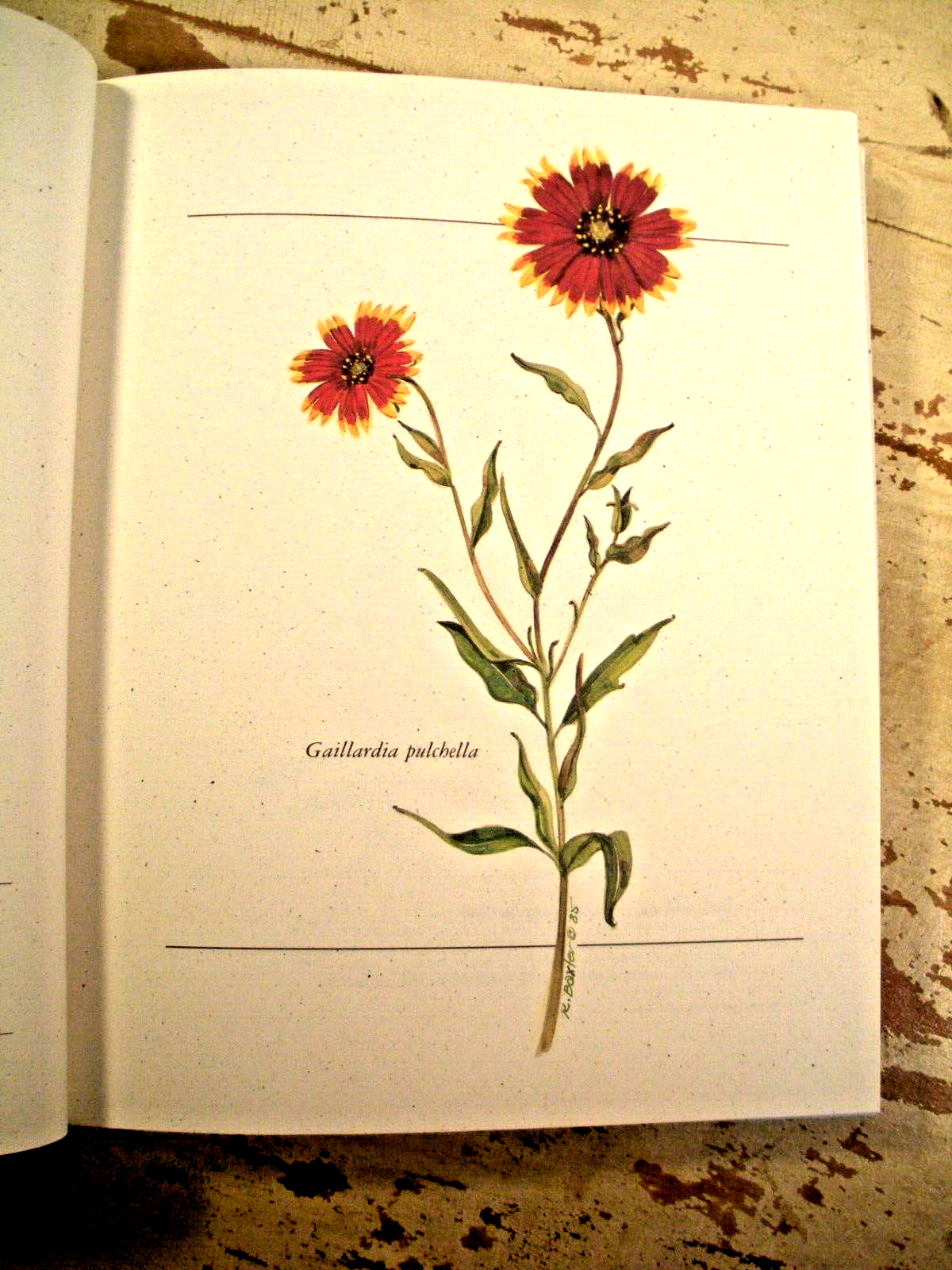 Picture 14 of 24