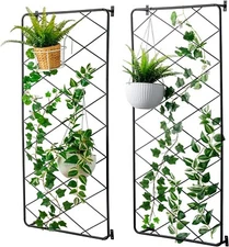 Wall Mounted 4 Foot Black Metal Garden Trellis, Support Lattice Fram, Set of 2