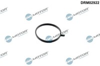 Dichtung, Kompressor Dr.Motor Automotive DRM02922 FüR Oe 1655800Q0C - 4420352