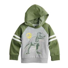 Jurassic World Toddler Boy T-Rex Raglan Sleeve Graphic Hoodie nwt