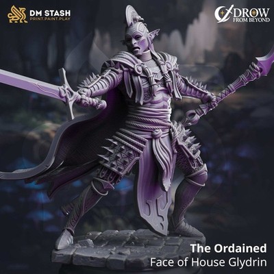 Elf Sword Fighter Tabletop Miniature - The Ordained | Qumi