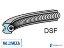 Piston Ring Kit KOLBENSCHMIDT 800111010000