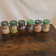 Beech Nut Organic Non-GMO Baby Food Stage 2 Jar Banana Orange Apple Pear