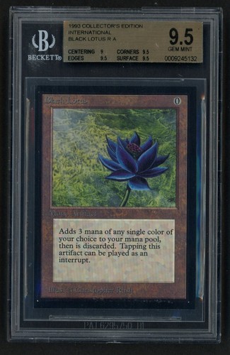 BGS 9.5 International Edition Black Lotus (Pop 1, Highest Graded) MTG Collectors